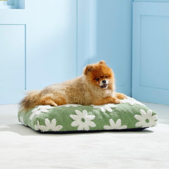 Small Dog Beds-Thick Shredded Chopped Foam Pet Bed Indoor with Removable Cover - Picture 1 of 4